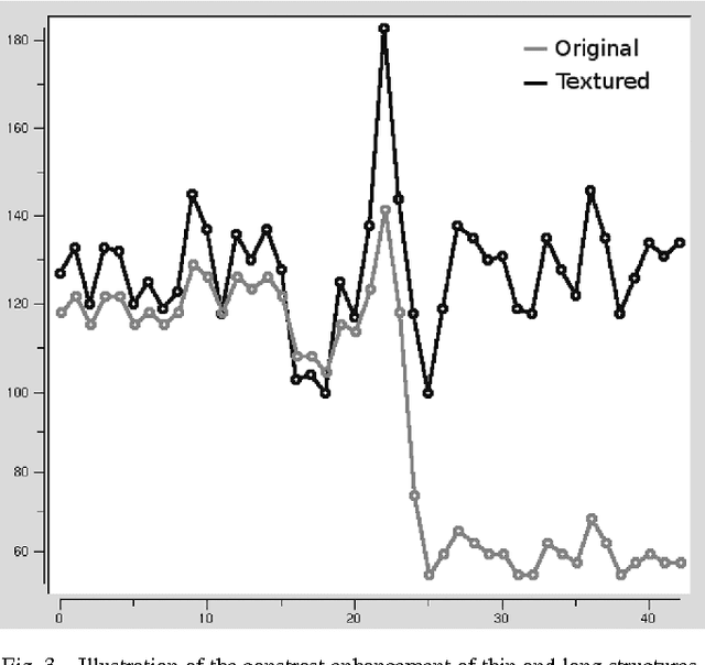 Figure 3 for Properties of BV-G structures + textures decomposition models. Application to road detection in satellite images