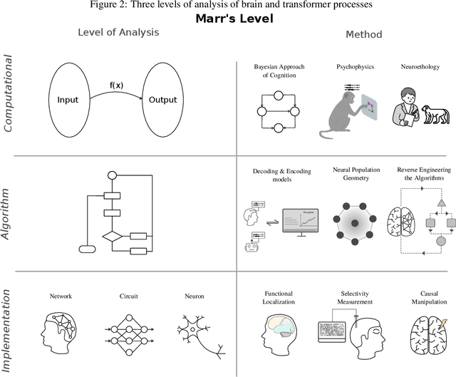 Figure 2 for Multilevel Interpretability Of Artificial Neural Networks: Leveraging Framework And Methods From Neuroscience