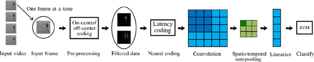 Figure 1 for Spiking Two-Stream Methods with Unsupervised STDP-based Learning for Action Recognition