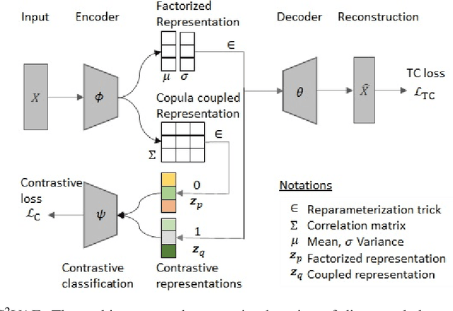 Figure 1 for C$^2$VAE: Gaussian Copula-based VAE Differing Disentangled from Coupled Representations with Contrastive Posterior