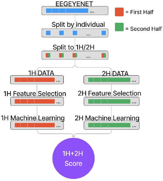 Figure 3 for Two Heads are Better than One: A Bio-inspired Method for Improving Classification on EEG-ET Data