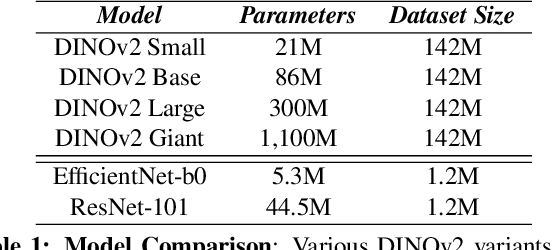 Figure 2 for Revisiting Birds Eye View Perception Models with Frozen Foundation Models: DINOv2 and Metric3Dv2