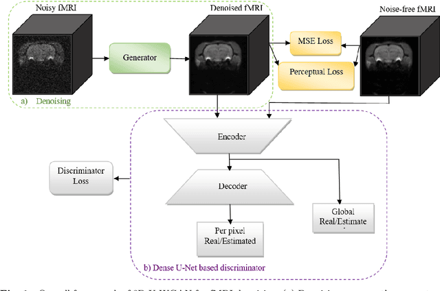 Figure 1 for 3D Wasserstein generative adversarial network with dense U-Net based discriminator for preclinical fMRI denoising