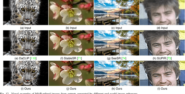 Figure 4 for Comparison of No-Reference Image Quality Models via MAP Estimation in Diffusion Latents