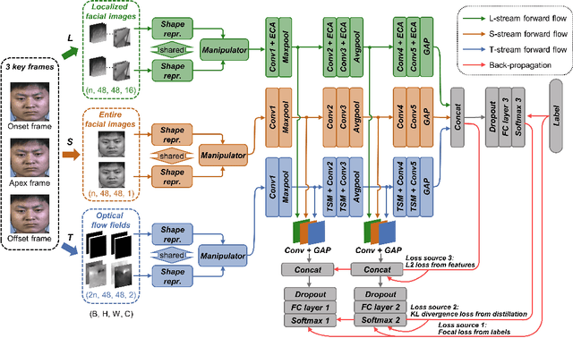 Figure 1 for SKD-TSTSAN: Three-Stream Temporal-Shift Attention Network Based on Self-Knowledge Distillation for Micro-Expression Recognition