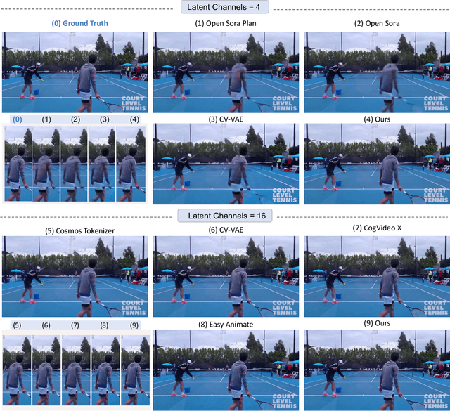 Figure 1 for Large Motion Video Autoencoding with Cross-modal Video VAE