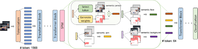 Figure 1 for SVT: Supertoken Video Transformer for Efficient Video Understanding