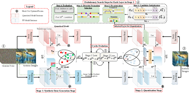 Figure 3 for CLAMP-ViT: Contrastive Data-Free Learning for Adaptive Post-Training Quantization of ViTs