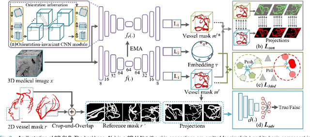 Figure 2 for 3D Vessel Segmentation with Limited Guidance of 2D Structure-agnostic Vessel Annotations