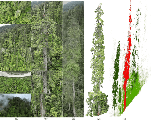 Figure 3 for First Mapping the Canopy Height of Primeval Forests in the Tallest Tree Area of Asia