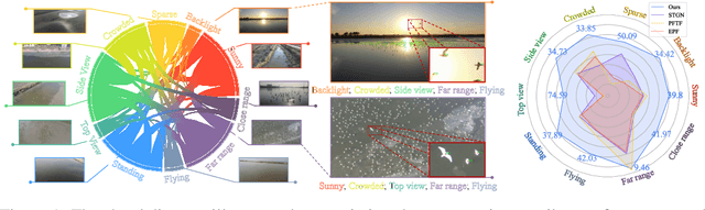 Figure 1 for Efficient Masked AutoEncoder for Video Object Counting and A Large-Scale Benchmark