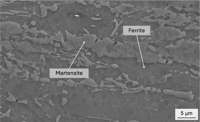 Figure 1 for Resolution Enhancement of Scanning Electron Micrographs using Artificial Intelligence