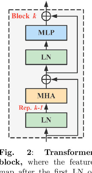 Figure 4 for Observation, Analysis, and Solution: Exploring Strong Lightweight Vision Transformers via Masked Image Modeling Pre-Training