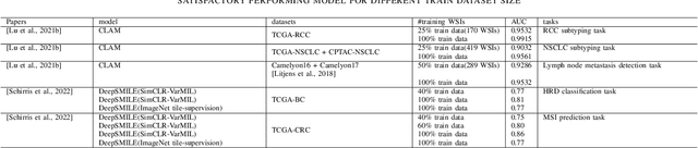 Figure 4 for Advances in Multiple Instance Learning for Whole Slide Image Analysis: Techniques, Challenges, and Future Directions