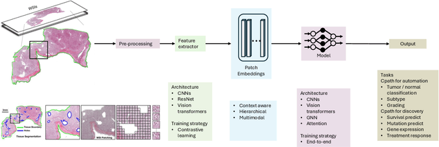 Figure 1 for Advances in Multiple Instance Learning for Whole Slide Image Analysis: Techniques, Challenges, and Future Directions