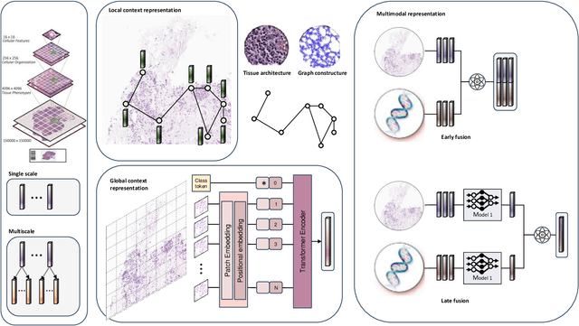 Figure 2 for Advances in Multiple Instance Learning for Whole Slide Image Analysis: Techniques, Challenges, and Future Directions