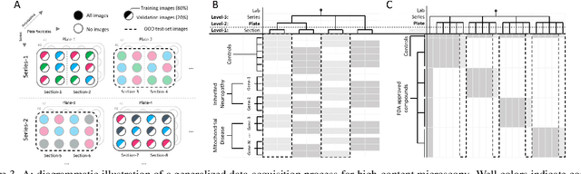 Figure 4 for Out of Distribution Generalization via Interventional Style Transfer in Single-Cell Microscopy