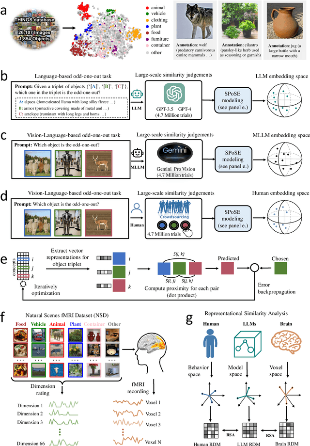 Figure 1 for Human-like object concept representations emerge naturally in multimodal large language models