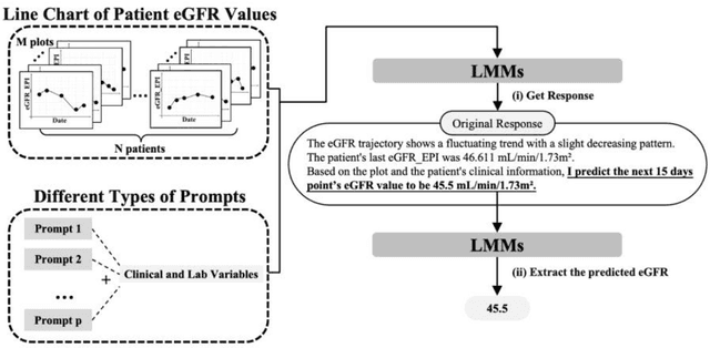 Figure 1 for Understanding eGFR Trajectories and Kidney Function Decline via Large Multimodal Models