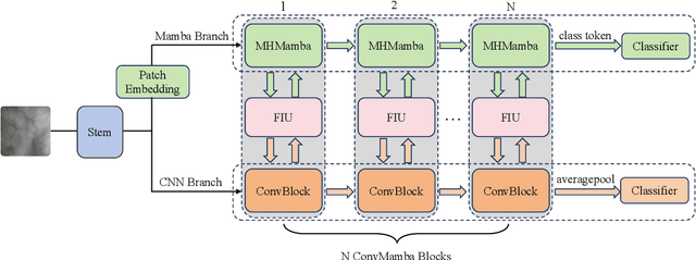 Figure 1 for Neural Architecture Search based Global-local Vision Mamba for Palm-Vein Recognition