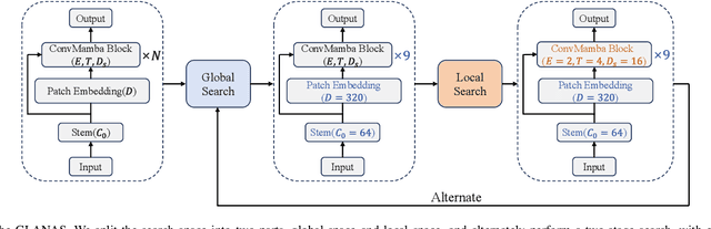 Figure 4 for Neural Architecture Search based Global-local Vision Mamba for Palm-Vein Recognition