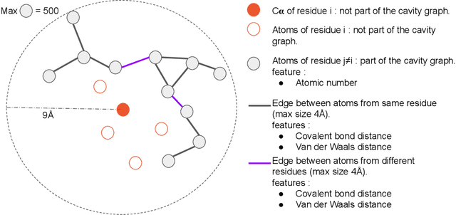 Figure 1 for Predicting protein stability changes under multiple amino acid substitutions using equivariant graph neural networks