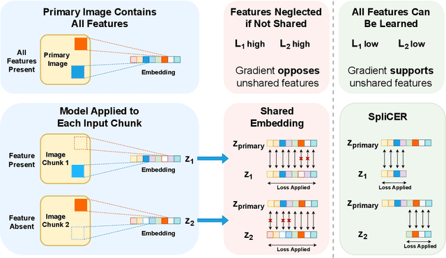 Figure 2 for Divide and Conquer Self-Supervised Learning for High-Content Imaging