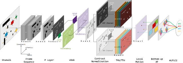 Figure 2 for Attention-Driven LPLC2 Neural Ensemble Model for Multi-Target Looming Detection and Localization