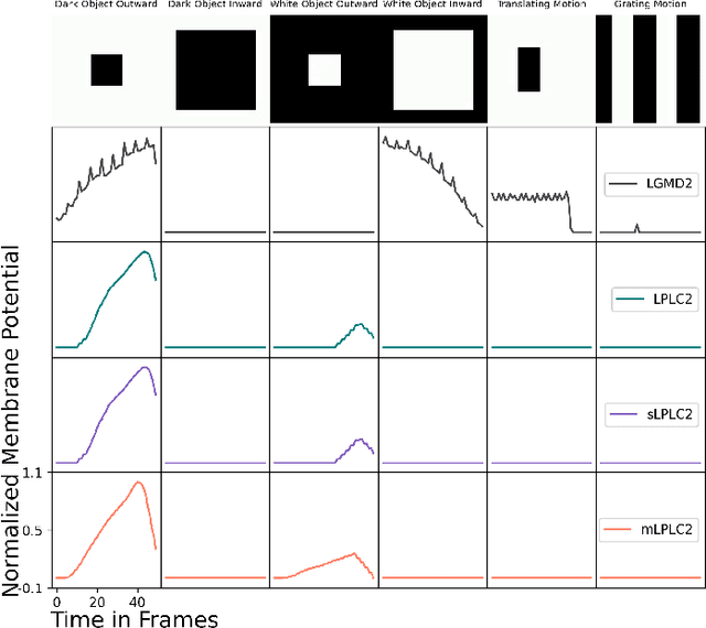 Figure 3 for Attention-Driven LPLC2 Neural Ensemble Model for Multi-Target Looming Detection and Localization