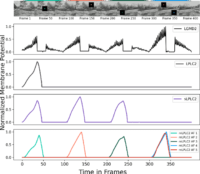 Figure 4 for Attention-Driven LPLC2 Neural Ensemble Model for Multi-Target Looming Detection and Localization