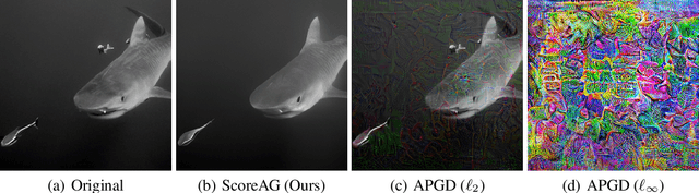 Figure 1 for Assessing Robustness via Score-Based Adversarial Image Generation