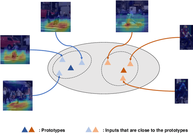 Figure 1 for Sparse Prototype Network for Explainable Pedestrian Behavior Prediction