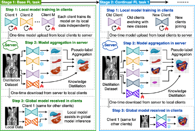 Figure 3 for Federated Continual 3D Segmentation With Single-round Communication