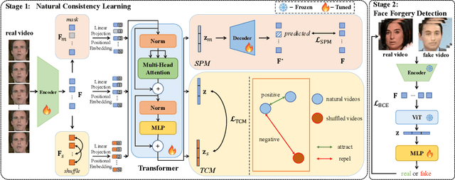 Figure 3 for Learning Natural Consistency Representation for Face Forgery Video Detection