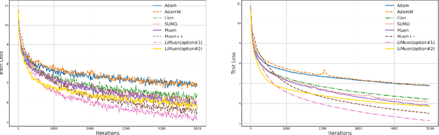 Figure 3 for LiMuon: Light and Fast Muon Optimizer for Large Models