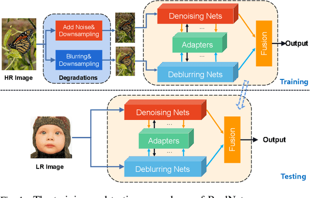 Figure 1 for Image Super-Resolution with Taylor Expansion Approximation and Large Field Reception