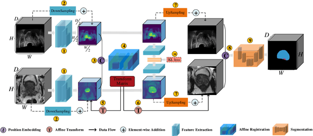 Figure 3 for Registration-Enhanced Segmentation Method for Prostate Cancer in Ultrasound Images