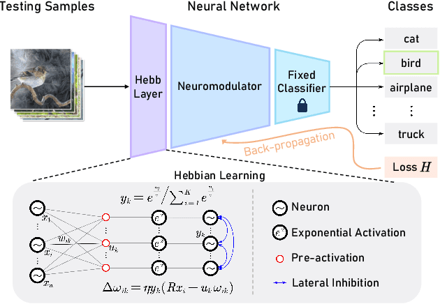 Figure 3 for Neuro-Modulated Hebbian Learning for Fully Test-Time Adaptation