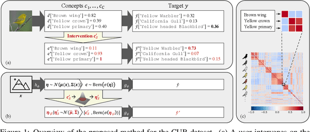 Figure 1 for Stochastic Concept Bottleneck Models