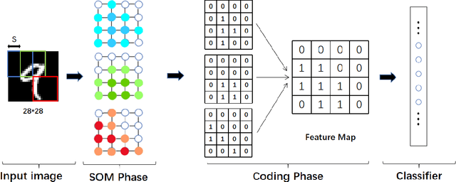 Figure 3 for Extracting the Brain-like Representation by an Improved Self-Organizing Map for Image Classification