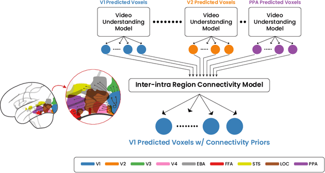 Figure 2 for System Identification of Neural Systems: Going Beyond Images to Modelling Dynamics