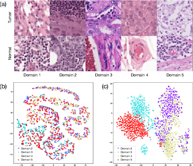 Figure 2 for Decentralizing Test-time Adaptation under Heterogeneous Data Streams