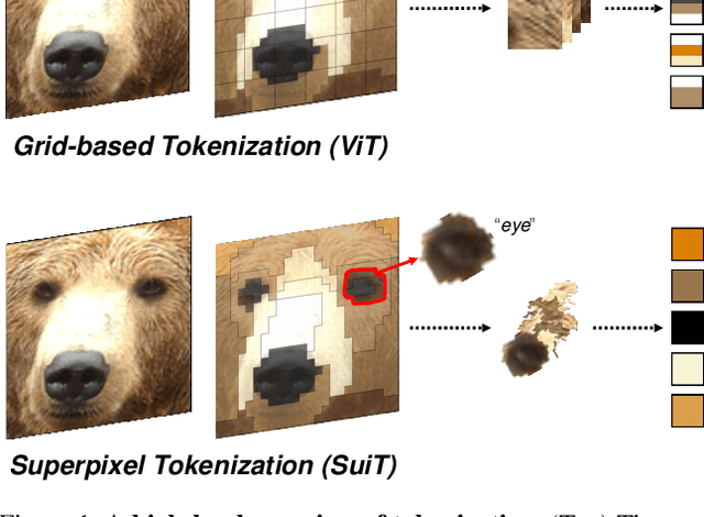 Figure 1 for Superpixel Tokenization for Vision Transformers: Preserving Semantic Integrity in Visual Tokens