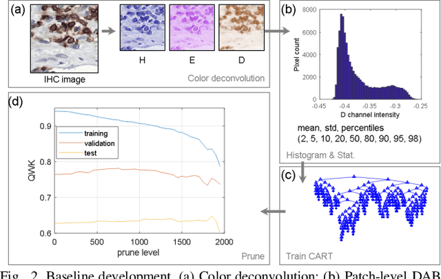 Figure 2 for LYSTO: The Lymphocyte Assessment Hackathon and Benchmark Dataset