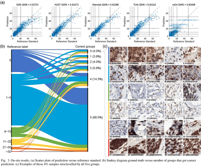 Figure 3 for LYSTO: The Lymphocyte Assessment Hackathon and Benchmark Dataset