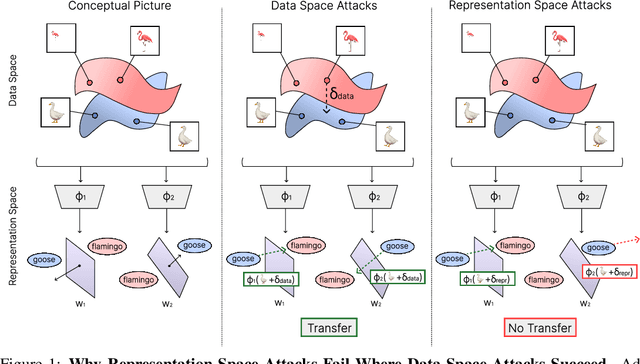 Figure 1 for Understanding Adversarial Transfer: Why Representation-Space Attacks Fail Where Data-Space Attacks Succeed