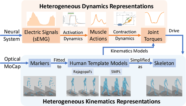 Figure 1 for Homogeneous Dynamics Space for Heterogeneous Humans