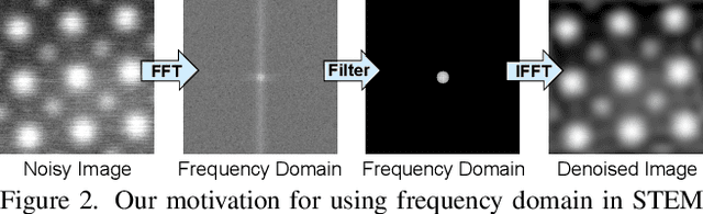 Figure 3 for Noise Calibration and Spatial-Frequency Interactive Network for STEM Image Enhancement