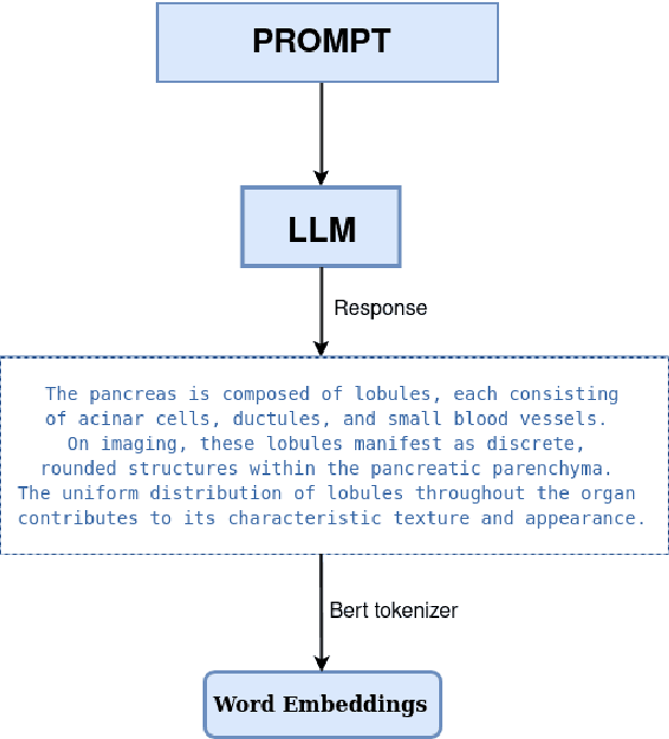 Figure 1 for Leveraging Task-Specific Knowledge from LLM for Semi-Supervised 3D Medical Image Segmentation