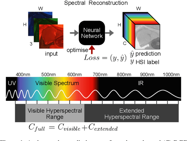 Figure 1 for RGB to Hyperspectral: Spectral Reconstruction for Enhanced Surgical Imaging